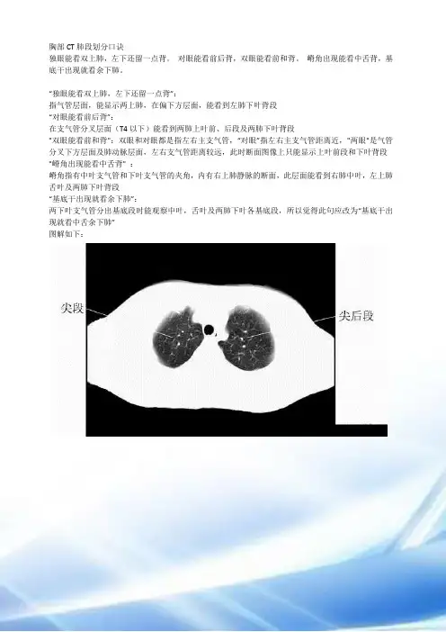 胸部CT肺段划分口诀