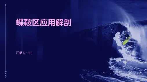 蝶鞍区应用解剖