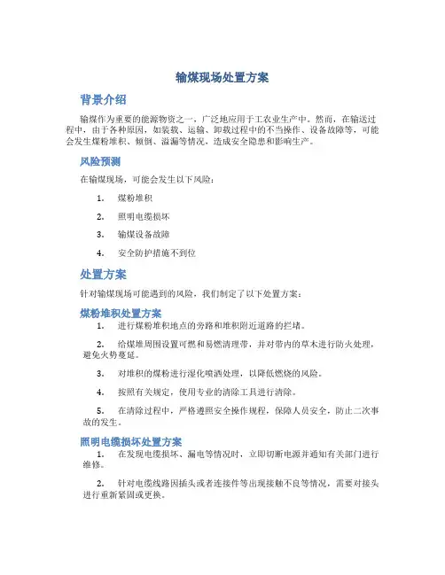 输煤现场处置方案