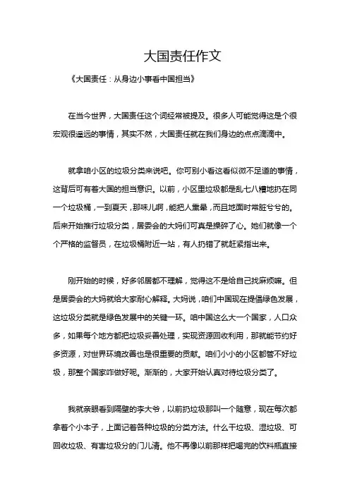大国责任作文