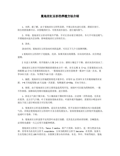 曼地亚红豆杉的养殖方法介绍