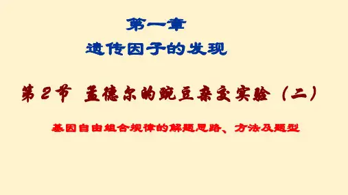 孟德尔的豌豆杂交实验(二)(第2课时)高一生物课件(人教版2019必修2)