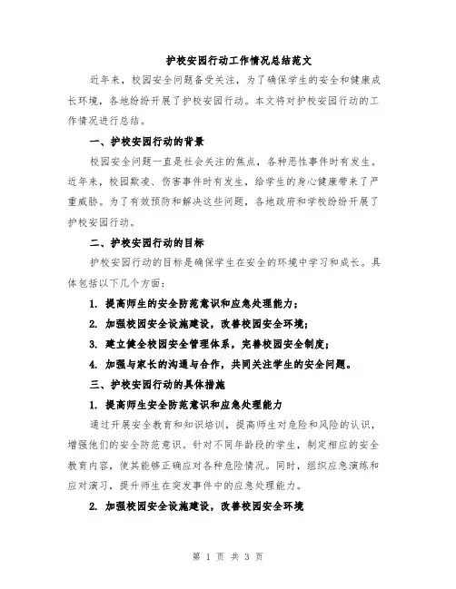 护校安园行动工作情况总结范文