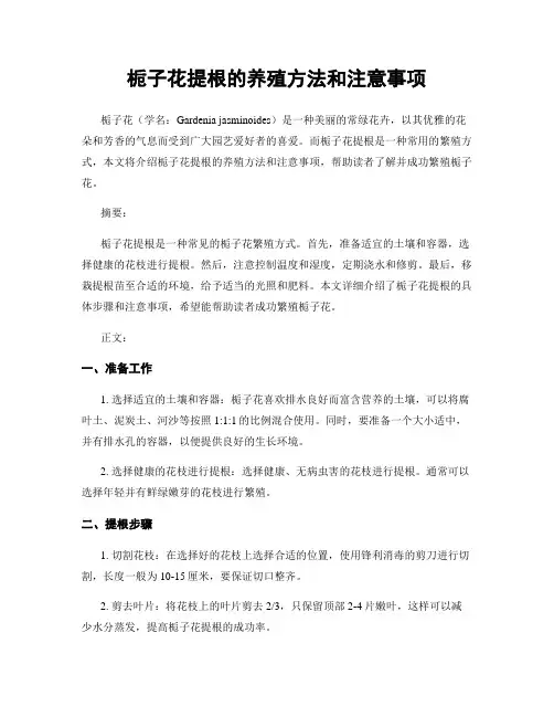 栀子花提根的养殖方法和注意事项
