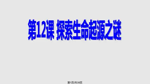 探索生命起源之谜PPT课件