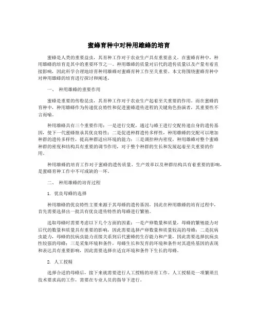 蜜蜂育种中对种用雄蜂的培育