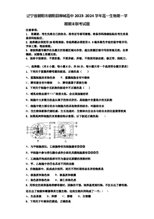 辽宁省朝阳市朝阳县柳城高中2023-2024学年高一生物第一学期期末联考试题含解析