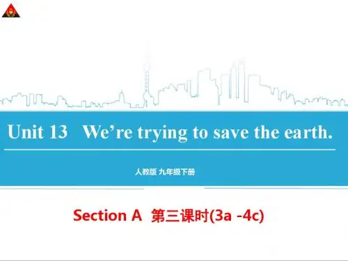 2014年新目标九年级英语Unit13(第三课时)实用课件