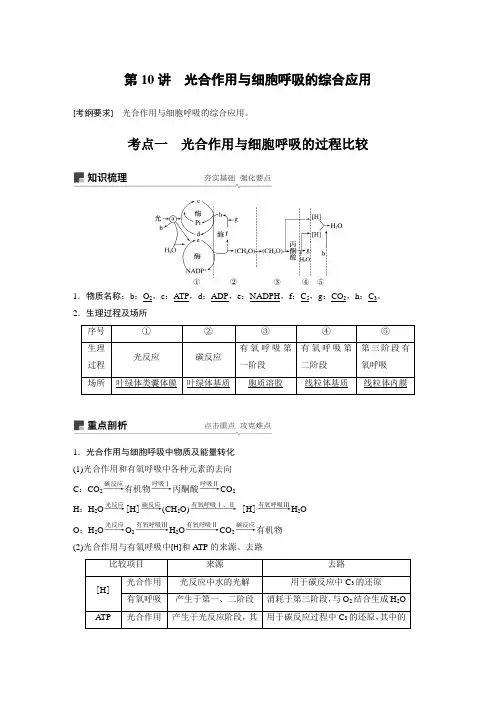 新高考一轮复习北师大版光合作用与细胞呼吸的综合应用教案