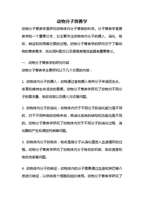 动物分子营养学