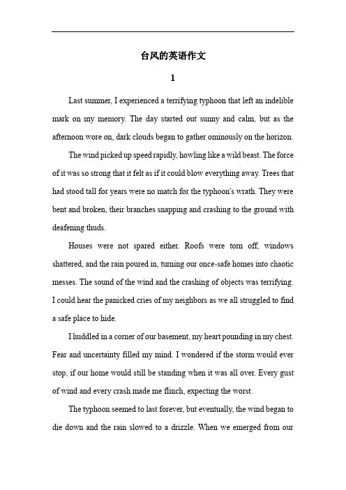 台风的英语作文!60字!