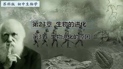 23.3 生物进化的原因(课件)八年级生物下册(苏科版)