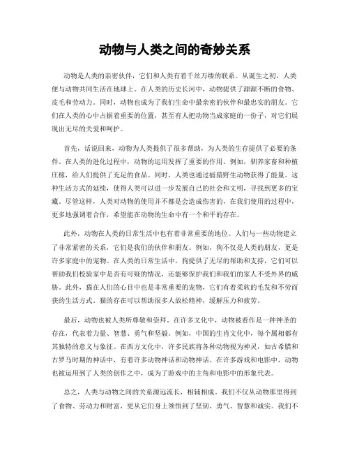 动物与人类之间的奇妙关系