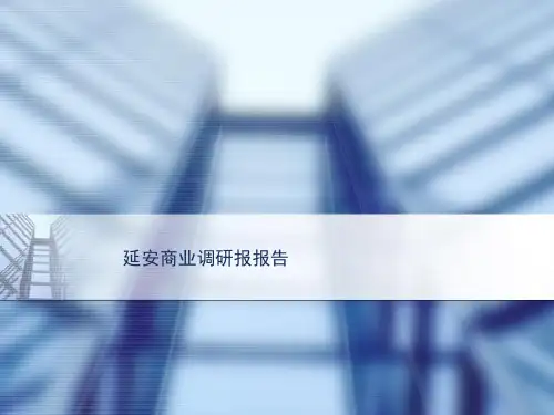 延安市场调研分析1.pptx