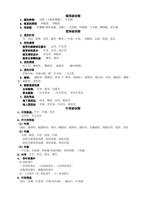 根茎叶形态识别