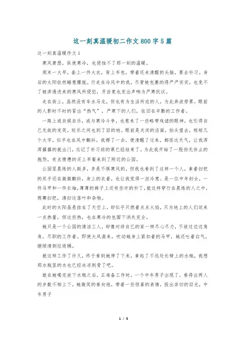 这一刻真温暖初二作文800字5篇
