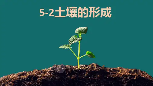 5.2土壤的形成课件高中地理必修一