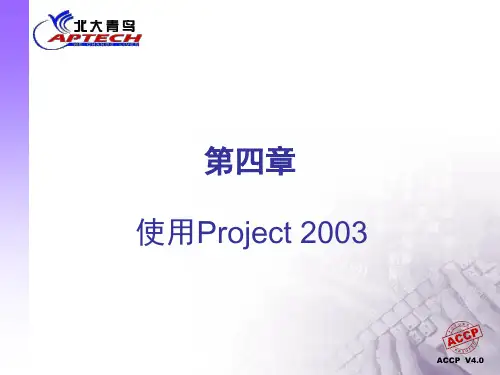 使用Project2003