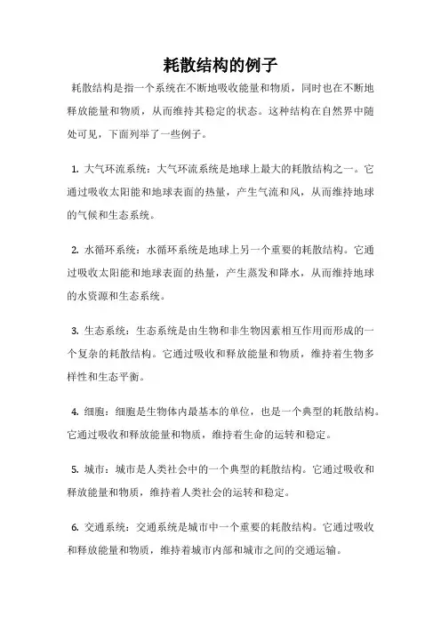 耗散结构的例子