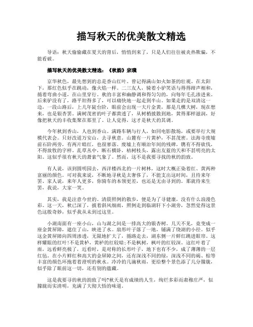 描写秋天的优美散文精选