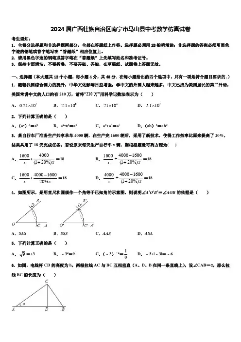 2024届广西壮族自治区南宁市马山县中考数学仿真试卷含解析