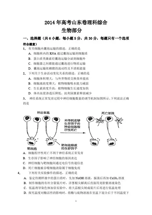 2014年山东高考生物真题试卷(含答案)