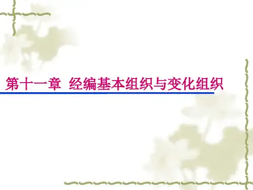 经编组织结构的表示方法线圈结构图垫纱运动图垫纱数码