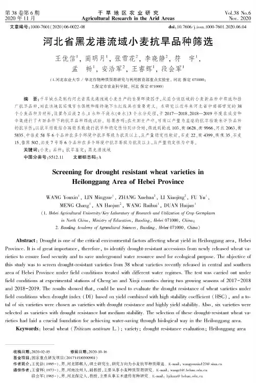 河北省黑龙港流域小麦抗旱品种筛选