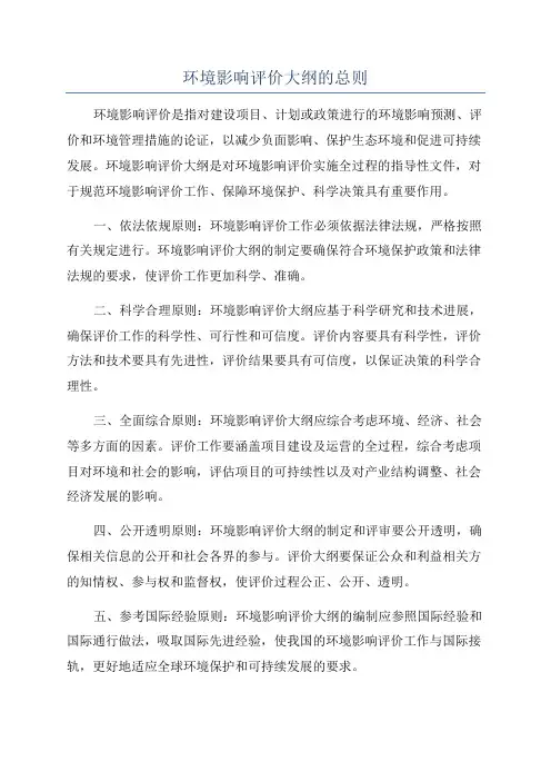 环境影响评价大纲的总则