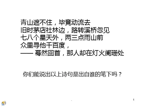 《水龙吟》PPT课件