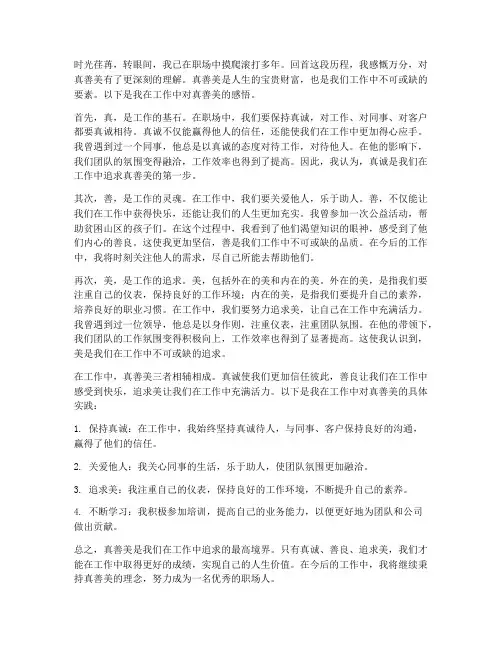 工作感悟真善美心得体会