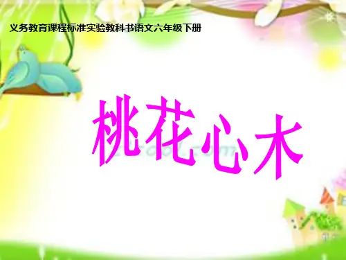 《桃花心木》课件