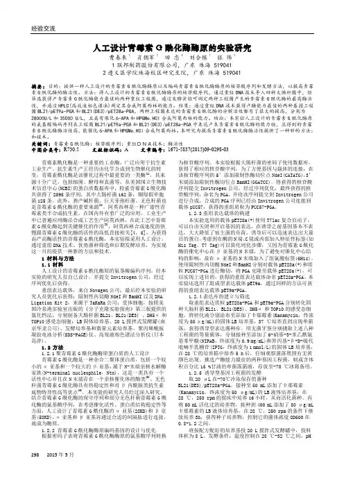 人工设计青霉素G酰化酶酶原的实验研究