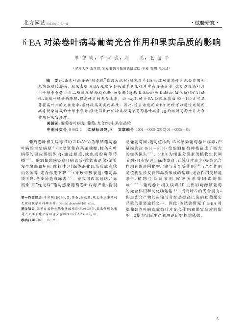6BA对染卷叶病毒葡萄光合作用和果实品质的影响