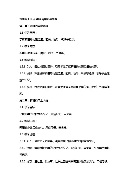 六年级上册新疆综合实践课教案