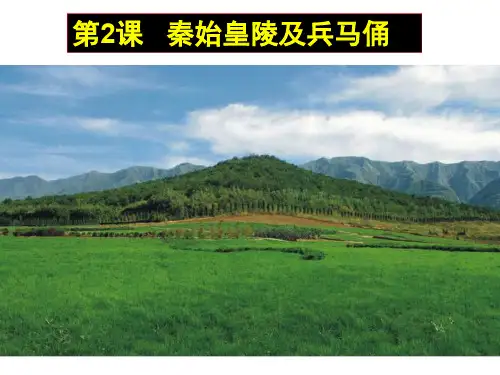 高中历史-世界文化遗产荟萃(选修6)5.2秦始皇陵及兵马俑