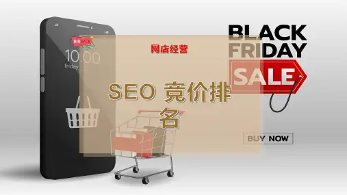 SEO 竞价排名