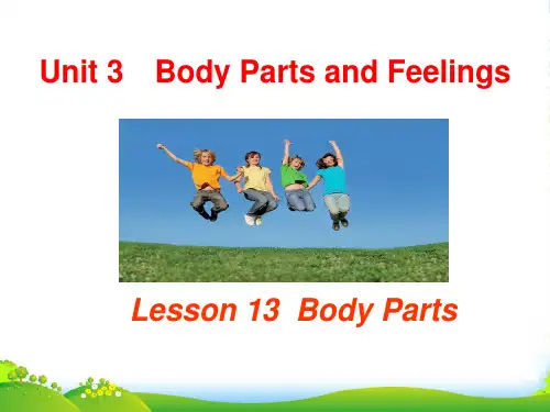 冀教版七年级英语上册 Unit 3 Lesson 13 Body Parts (共17张PPT)