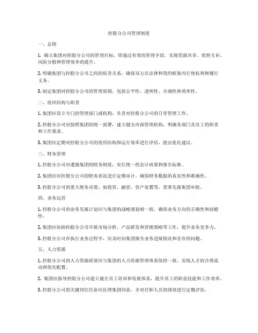 控股分公司管理制度
