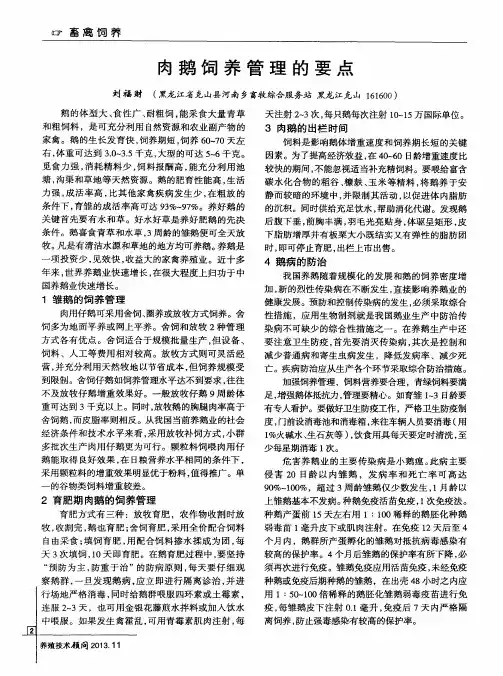肉鹅饲养管理的要点