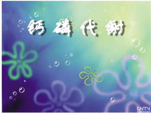 钙磷代谢