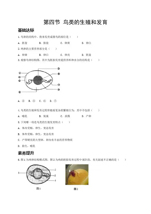 人教版八年级生物下册：第七单元 第一章 第四节 鸟类的生殖和发育 同步练习