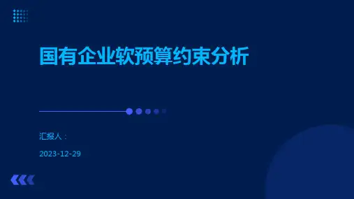 国有企业软预算约束分析