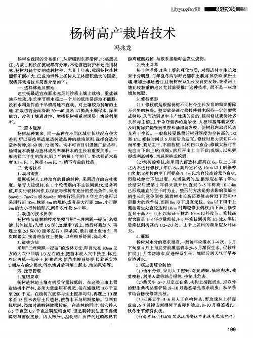 杨树高产栽培技术