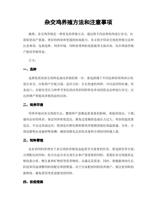 杂交鸡养殖方法和注意事项