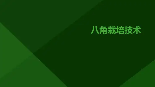 八角栽培技术