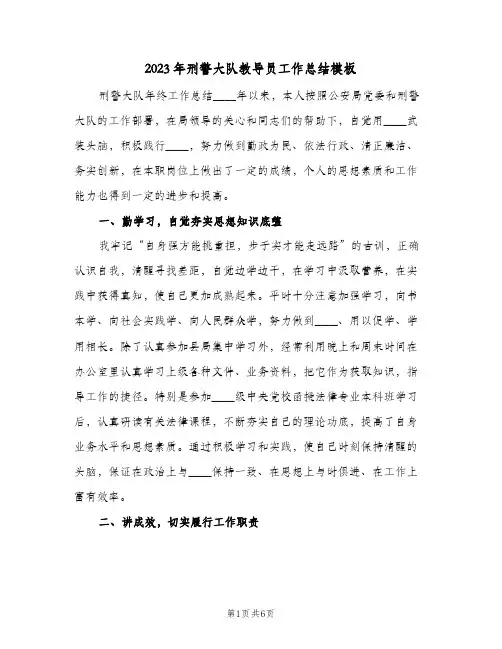 2023年刑警大队教导员工作总结模板(二篇)