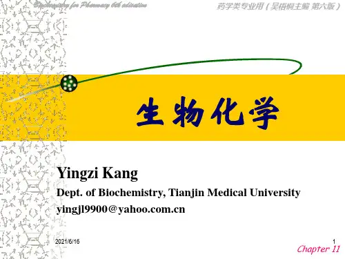 蛋白质的代谢 ppt