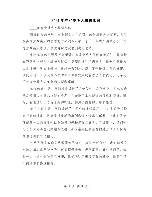 2024年专业带头人培训总结（2篇）