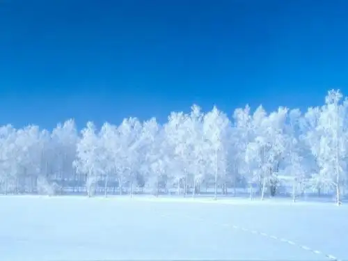《雪地里的小画家》PPT课件